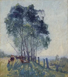 Los acacias